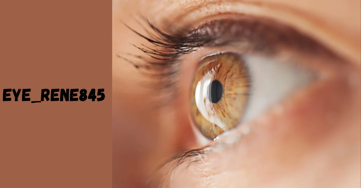 Eye_Rene845: Optimal Eye Care for the Modern Era