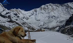 Annapurna Base Camp