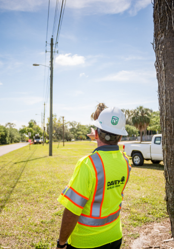 Best Practices for Contractors in Vegetation Management: What to Know