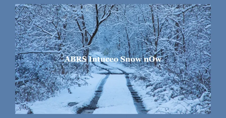 ABRS Intuceo Snow nOw: A Guide to First-Time Implementation